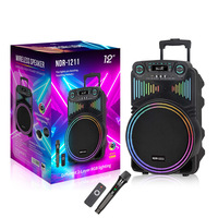 Enceinte Bluetooth portable de 12 pouces haute puissance avec microphone sans fil pour fêtes en extérieur et karaoké