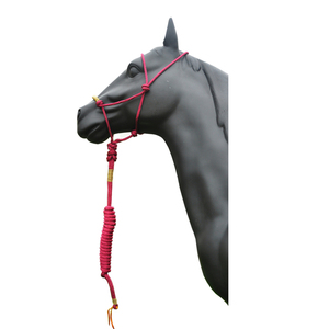 Halter et plomb <span class=keywords><strong>en</strong></span> nylon tressé de différentes couleurs - Product Image 3