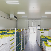 Système de réfrigération commercial de grande capacité à norme internationale avec conteneur insonorisé et engrenage moteur pour le stockage alimentaire
