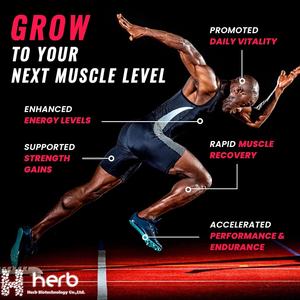 Gomitas de Creatina Monohidrato para Nutrición Deportiva de Marca Privada OEM/ODM, Gomitas de Creatina para el Crecimiento Muscular Pre-Entrenamiento para Adultos - Product Image 4