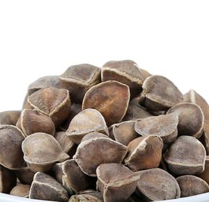 Semi di <span class=keywords><strong>albero</strong></span> di bacchette di semi di rafano essiccati grezzi interi puliti di alta qualità - Product Image 1