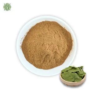 Nanqiao fabbrica cinese fornire estratto di erbaccia di capra corneo Epimedium estratto Icariin polvere CAS 489-32-7 per il sesso bevanda energetica