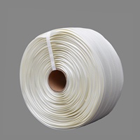 Cinta de Flejado PET de 32 mm, Alta Calidad, Superficie Lisa Blanca, Certificación ISO9001, Tejida con Cordón, Duradera y de Alta Tenacidad para Embalaje Manual