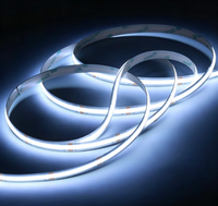 Bande LED 12V 480 LED 10mm CRI 90+ 5m, Ruban Double Couche Couleurs Véritables pour Rétroéclairage TV Chambre et Meuble