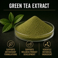 Extrait de thé vert en vrac 4:1 de qualité alimentaire, naturel, à base de feuilles de Camellia Sinensis, poudre d'extrait de thé vert de haute qualité