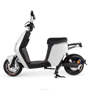 뜨거운 판매 2021 새로운 도매 500w 48V 24Ah 표준 스쿠터 전기 오토바이