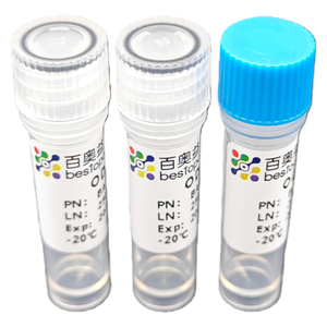 Buồng trứng phân ly <span class=keywords><strong>Kit</strong></span> (10 thử nghiệm) phân ly của mô cho nghiên cứu ISO 9001 ba3351 - Product Image 4