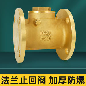 Válvula de Retención de Brida de Latón DN40 H44W-16Tdn100, Accesorios de Válvula de Retención Horizontal Específica para Ingeniería Neumática - Product Image 4