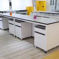 Meubles de laboratoire scolaires et hospitaliers modernes en métal, personnalisés par le fabricant, table de travail, pupitre d'enseignant, poste de travail