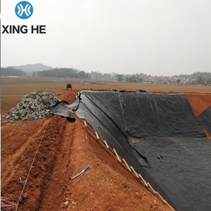 Geomembrana de HDPE de 0.75mm-2.5mm, Revestimiento Impermeable para Estanques, Presas, <span class=keywords><strong>Canales</strong></span> y Embalses, Antifiltraciones, Ecológica, de Alta Densidad y Larga Duración - Product Image 6