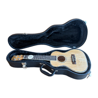 Étui rigide pour guitare et ukulélé en cuir imperméable de la marque Aiersi, portable, pièces et accessoires, instruments de musique, transport léger, bonne qualité