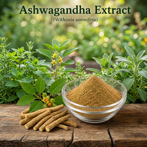 Extracto de Ashwagandha en Polvo, Hoja Seca, Grado Alimenticio, Extracto de Ashwagandha (Withania Somnifera) Panchang 5% HPLC 60% - Product Image 2