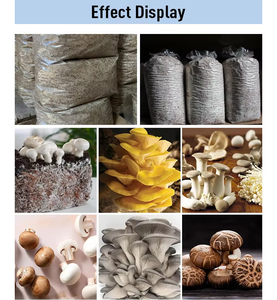 Équipement multifonctionnel de mélange d'engrais de champignons 300 KG Mélangeur de substrats de champignons à haut rendement pour la ferme de champignons - Product Image 3