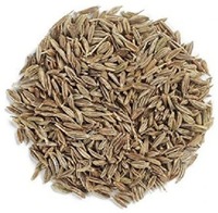 Graines de cumin aromatiques de qualité supérieure, pour la cuisine et l'industrie alimentaire, masala, origine Bengale occidental, durée de conservation de 12 mois, huile essentielle M.D.