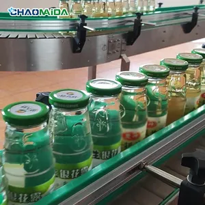 Plastic Chain Plate Assembly Line Beer Filling Food Stainless Steel Chain Plate Conveyor