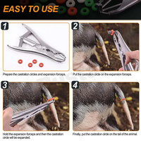 Instruments chirurgicaux de castration pour animaux de grande taille en gros, pinces de décapage de queues et pinces de désornement pour porcs et moutons
