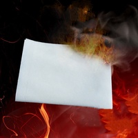Baguette Magique en Papier Feu en Gros : Trucs Incroyables, Effets de Feu Spectaculaires, Accessoires de Scène et de Rue, Papier Magique Flash Coloré