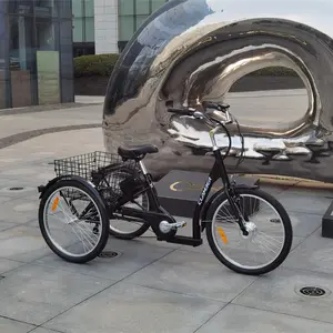 ヨーロッパのマイリー三輪車ショッピング用カーゴバイクウェアハウス電動3輪e三輪車バイクリアバスケット付きfaヨーロッパ在庫