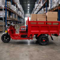 Tricycle cargo à essence avec caisse en acier et plateforme arrière, véhicule de livraison à trois roues à moteur essence pour le marché des motos