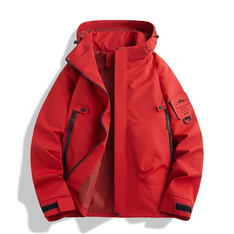 Pájaro bermellón rojo