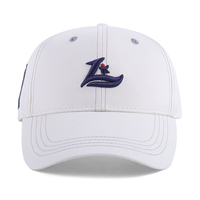 Casquette de baseball classique à 6 panneaux en coton avec broderie 3D en relief, personnalisable pour marque d'entreprise, vente en gros OEM, style Dad Hat