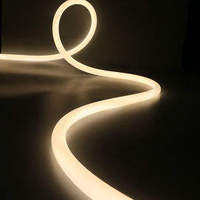 Lumière néon LED ronde à 360 degrés, DC 12V 24V, ruban néon flexible, bande néon de 22 mm, tube en silicone, lumière IP67