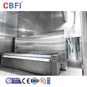 Industrial High Quality Frozen Fish Iqf Individual Tunnel Quick Freezer