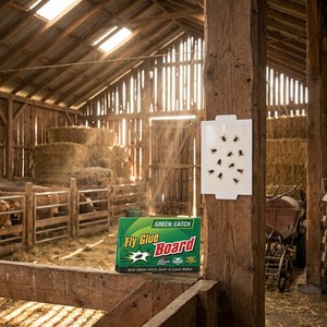 Trampa Adhesiva para Moscas Mustrap, sin Desorden, para Interiores, Papel Adhesivo de Grado Profesional para el Control de Plagas en el Hogar y la Oficina - Product Image 2