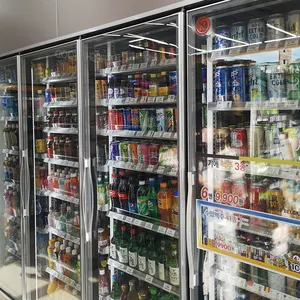 Commercial Single Vertical Glass Door Coca Display Cola Beverage Freezer Fridge Refrigerator