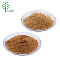 Extrait de Cordyceps Militaris en vrac, mélange de mycélium fruiteur, 5% de Cordycepine, poudre testée HPLC, en fût, complément alimentaire pour la santé