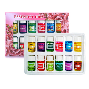 Juego de aceites esenciales solubles en agua personalizados de Aroma puro 100%, difusores de humidificador alimentados por USB para hoteles, aceite esencial de etiqueta privada - Product Image 3
