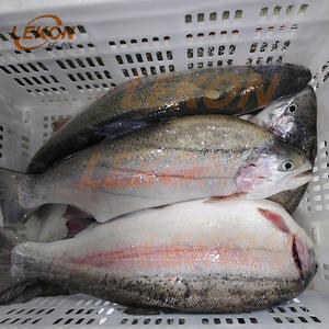 Máquina automática para matar y escalar peces Herramienta eficiente para el procesamiento de pescado - Product Image 6