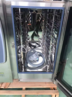 Horno Combinado Eléctrico de Vapor Rational de Sobremesa, Acero Inoxidable, Nuevo, para Hornear Harinas, Frutos Secos, Frutas, Maíz y Leche