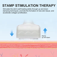 Produit ponctuel Titanium Derma Tampon réglable Masseur de cuir chevelu 140 Système de perfusion Rajeunissement de la peau et lèvres plus dodues-Dissolvant de rides
