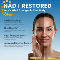 NAD+ Liposomal OEM 1000mg Resvératrol Urolithin-A CoQ10 Antioxydant Soutien de la Santé Cellulaire Végétalien Certifié GMP En Vrac