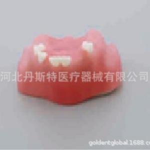 Modèle dentaire Dt M2014 en silicone médical, modèle anatomique du sinus maxillaire pour l'enseignement en sciences médicales - Product Image 1