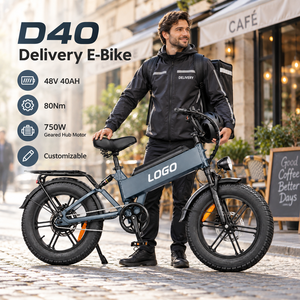 จักรยานไฟฟ้ารุ่น Factory D40 มอเตอร์ 750W แบตเตอรี่ 48V40AH ยาง 20x4.0 แรงบิด 80N·m รับผลิตตามสั่ง (OEM) จักรยานไฟฟ้าบรรทุกสัมภาระ - Product Image 1