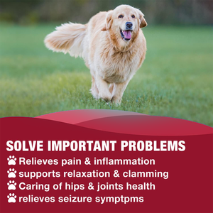 Hemp tetesan minyak untuk anjing, Hemp murni suplemen penyerapan cepat dukungan kekebalan tubuh pereda kecemasan radang sendi kesehatan Omega - Product Image 2