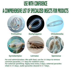 กรดอะมิโนเกรดอาหาร ChenYuan ParaZero-Aqua สำหรับการเพาะเลี้ยงสัตว์น้ำ ช่วยส่งเสริมการเจริญเติบโตและสุขภาพ ไม่มีสารตกค้าง - Product Image 6