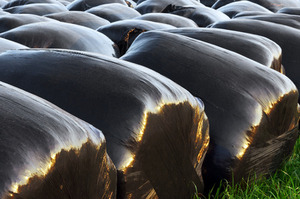 Silage Bale <b>Wrap</b> Stretch Film LLDPE for Grass Forage Long Storage - Product Image 5