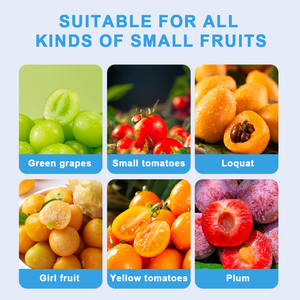 Otomatik Elektrikli Üzüm Soyma Makinesi PP Malzemeli Taşınabilir Yeniden Kullanılabilir Kolay Temizlenebilir Çok Fonksiyonlu Ev Tipi Meyve Soyacağı - Product Image 6