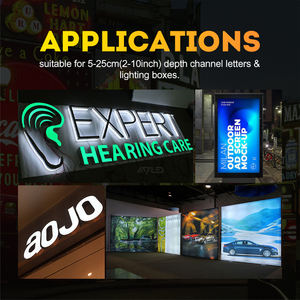 Módulo LED SMD2835 de inyección de alto voltaje AC110V 220V 1W 7000K 10000K, resistente al agua, blanco cálido, para letreros LED retroiluminados y letras de canal. - Product Image 5