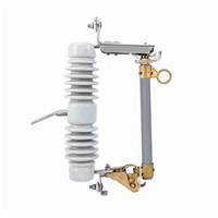 Fusible de coupure haute tension 12kV 24kV 36kV modèle RW pour la protection électrique 100/200A 50/60Hz