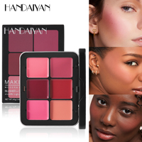 Palette de maquillage Handaiyan multi-usages : fond de teint, blush, anticernes, contour, 12 couleurs, palette visage Earth Candy, boîte en métal