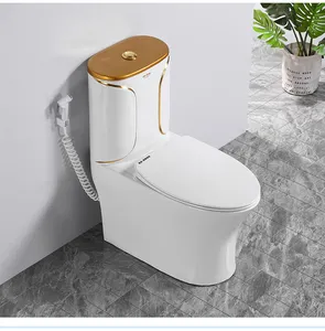 Yeni tasarım güneydoğu asya en iyi satmak sifon 300mm çift floş banyo seramik tek parça altın tuvalet