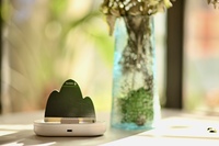Piège à mouches et insectes X-PEST MK11, tueur de moustiques à brancher, attractif UV, piège à colle électrique pour intérieur