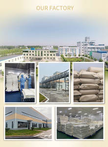 Poudre d'<span class=keywords><strong>ail</strong></span> biologique végétalienne Nutrition verte Superfood poudre d'<span class=keywords><strong>ail</strong></span> séchée à froid poudre de <span class=keywords><strong>concentré</strong></span> d'<span class=keywords><strong>ail</strong></span> de croissance durable - Product Image 6