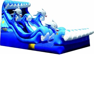 Tobogán Inflable de Grado Comercial, Parque Infantil al Aire Libre para Niños, Grandes Toboganes de Agua, Castillos Inflables, Tobogán Acuático - Product Image 1