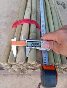 Canes en bambou naturel de haute qualité, piquets en bambou agricoles pour le soutien des plantes de pépinière, des fleurs et des tomates - Product Image 6