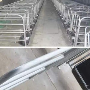 Lợn nái mang thai giường mạ kẽm lợn đẻ Thùng bút lợn sàn gian hàng đẻ giường thiết bị lợn nái - Product Image 5